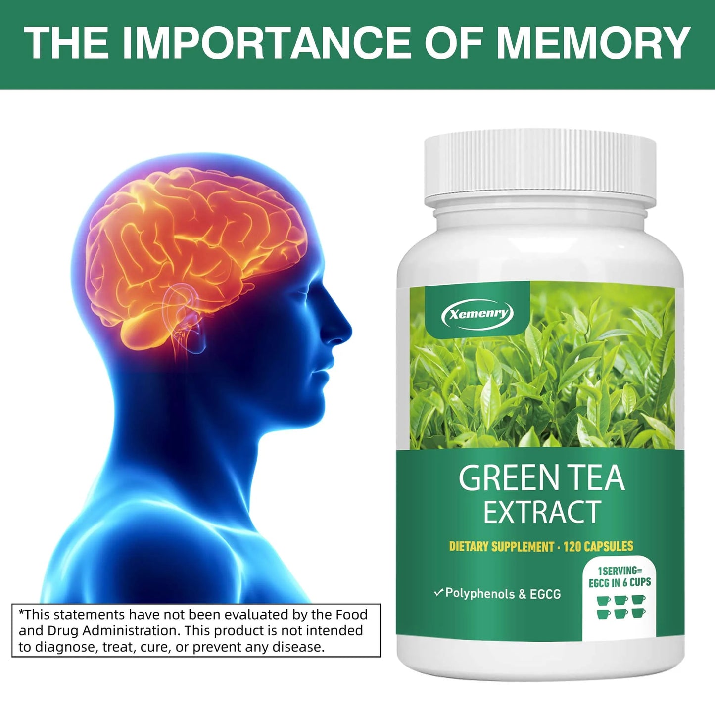 Green Tea Extract - 98% Standardized EGCG - Natural Energy, Promotes Digestion, Metabolism, Weight Management - 120 Capsules