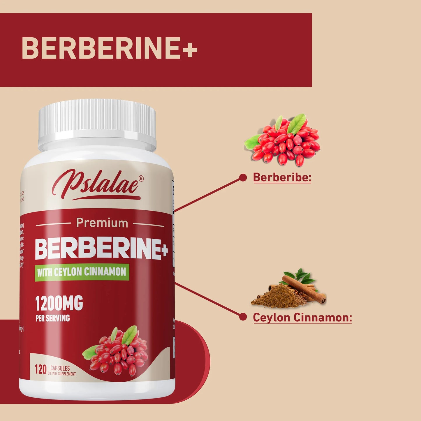 Berberine with Ceylon Cinnamon - Supports Glucose Metabolism, Balances Blood Sugar, Cardiovascular Health - 120 Capsules