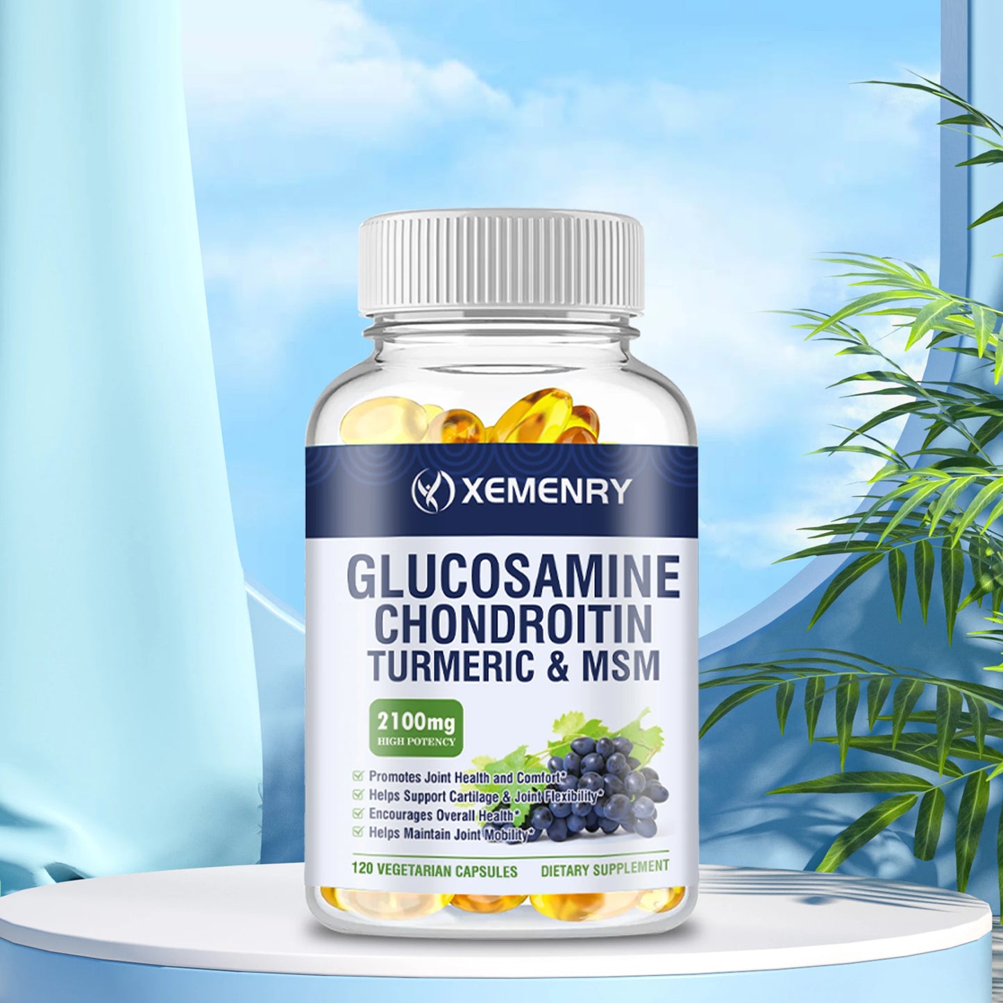 Glucosamine Chondroitin Capsules with MSM and Elderberry - Joint Health and Joint Function Support - 120 Capsules